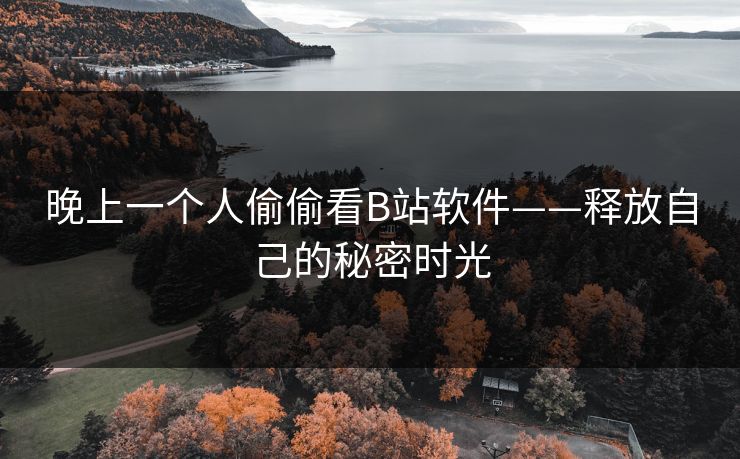 晚上一个人偷偷看B站软件——释放自己的秘密时光 晚上一个人偷偷看B站软件——释放自己的秘密时光