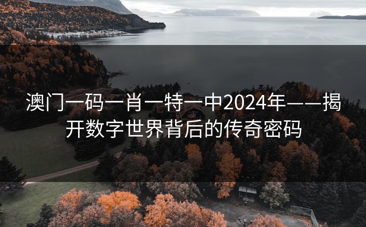 澳门一码一肖一特一中2024年——揭开数字世界背后的传奇密码