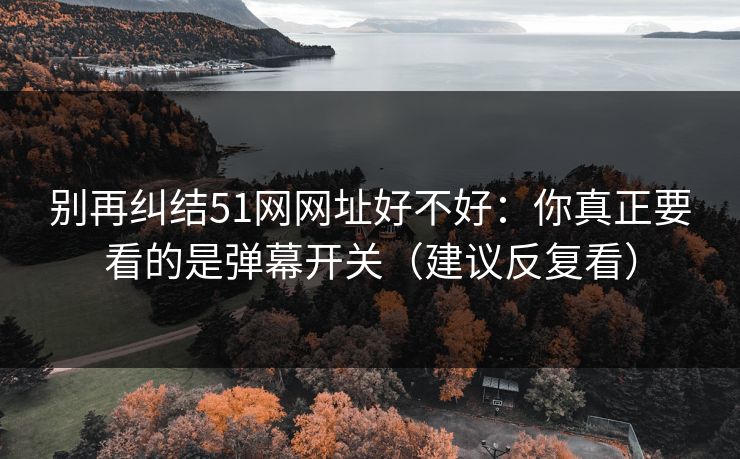 别再纠结51网网址好不好:你真正要看的是弹幕开关(建议反复看) 别再纠结51网网址好不好:你真正要看的是弹幕开关(建议反复看)