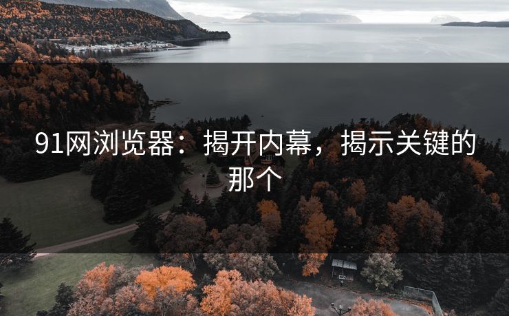 91网浏览器:揭开内幕,揭示关键的那个 91网浏览器:揭开内幕,揭示关键的那个
